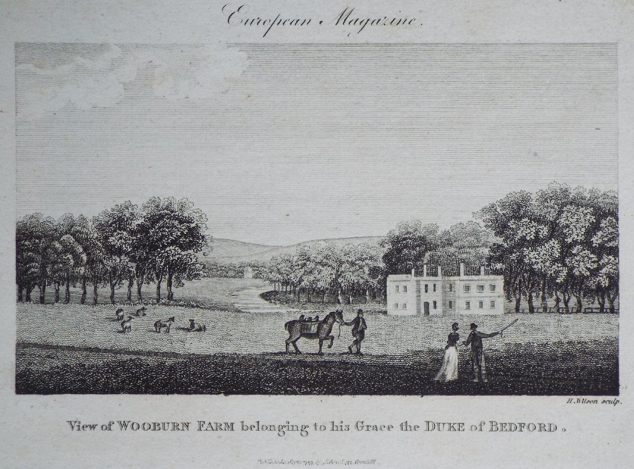 Print - View of Wooburn Farm belonging to his Grace the Duke of Bedford.